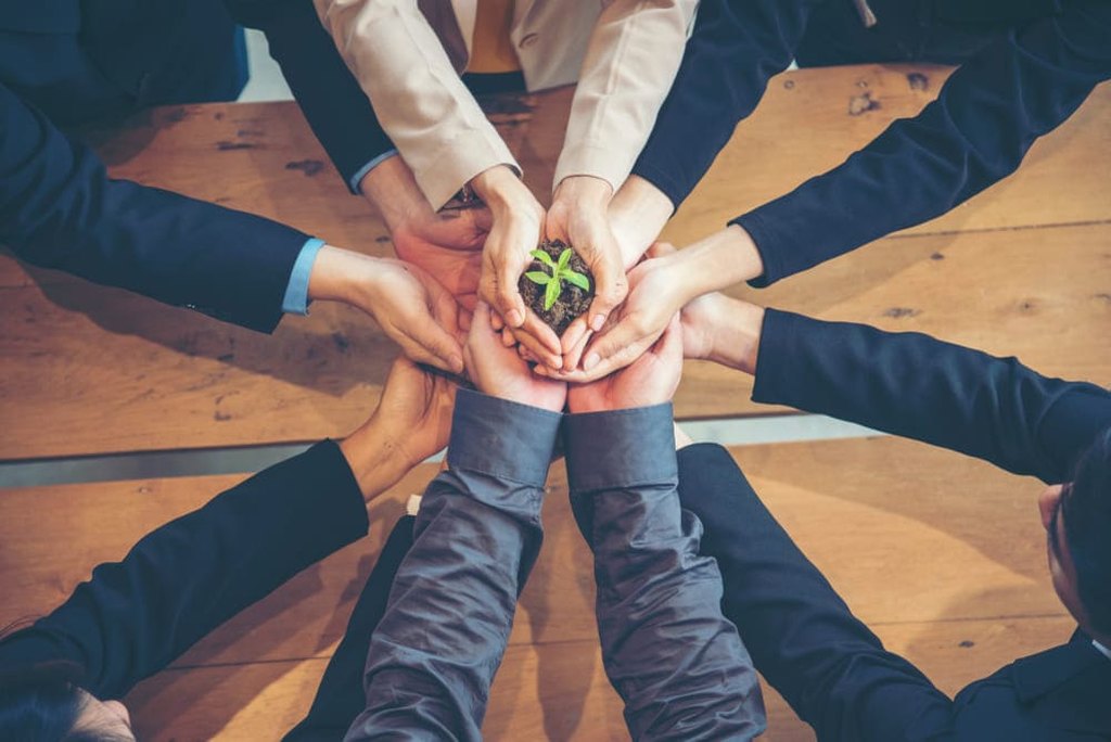 Funcionários dando as mãos com uma planta em projetos de sustentabilidade nas empresas