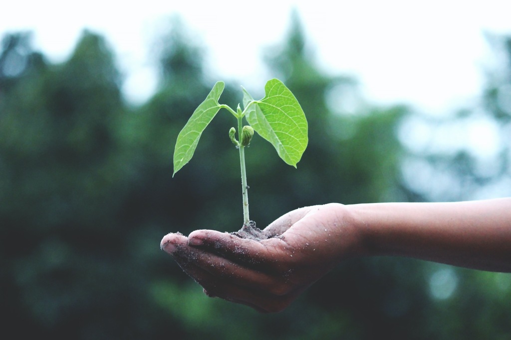 Ideias sustentáveis para empresas