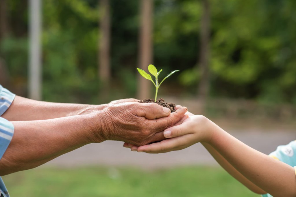 Em ambiente externo com grama e árvores: mãos de adulto abertas, sobre mãos de criança também abertas, e o conjunto das mãos segurando uma mudinha de planta, simbolizando o respeito ao Meio ambiente e o que são materiais biodegradáveis