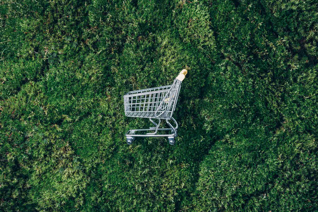 Carrinho de compras, fundo da foto é grama, simbolizando consumidor consciente