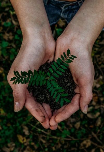 Responsabilidade ambiental nas empresas: o que é