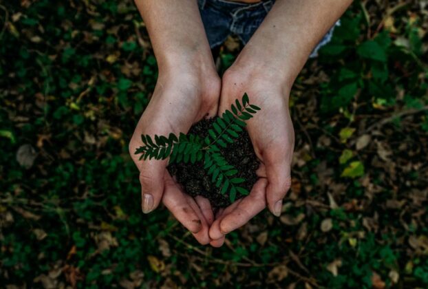 Responsabilidade ambiental nas empresas: o que é