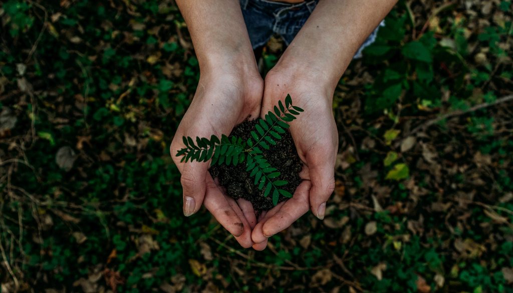 Responsabilidade ambiental nas empresas: o que é