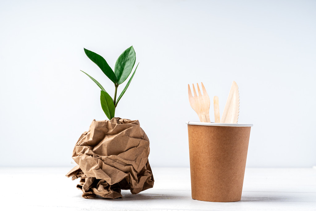 Copo biodegradável e talheres de madeira dentro dele e, ao lado do copo, uma muda de planta sendo sustentada por uma base de papel biodegradável, simbolizando possíveis vantagens e desvantagens dos biodegradáveis